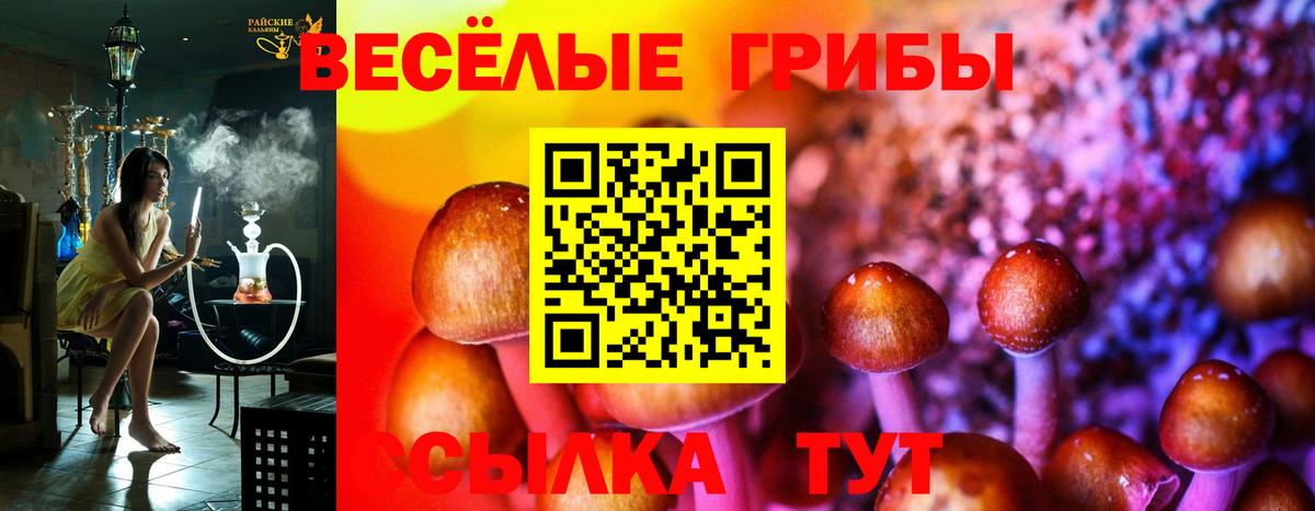 Славгород  Псилоцибиновые грибы Psilocybine cubensis  Вход с VPN 